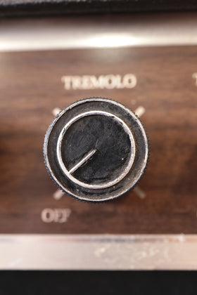Kalamazoo Model 2 (1966)