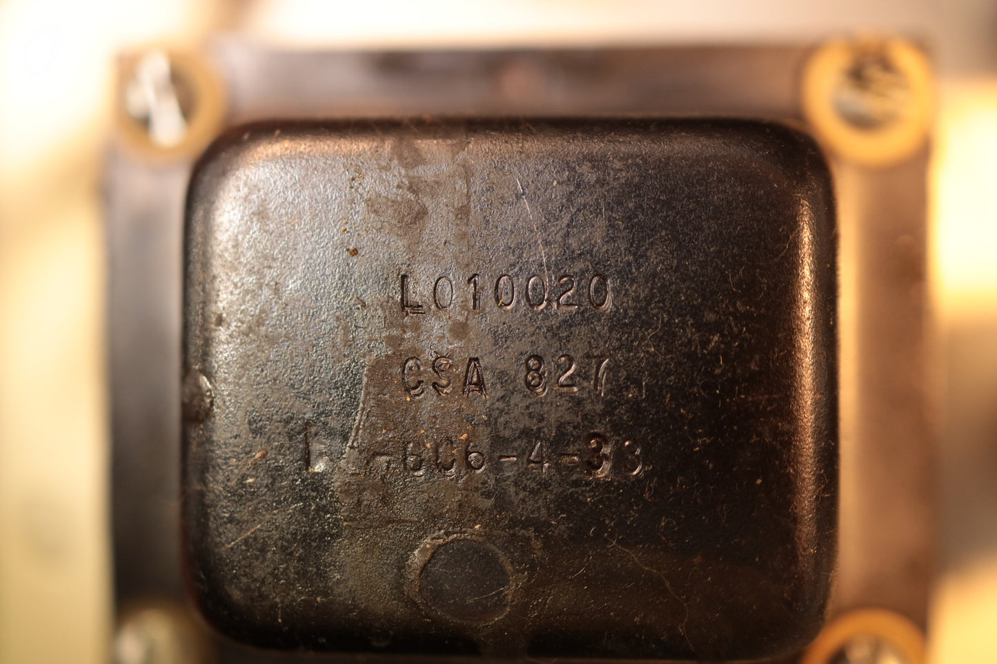 Fender Silverface Champ (1974)