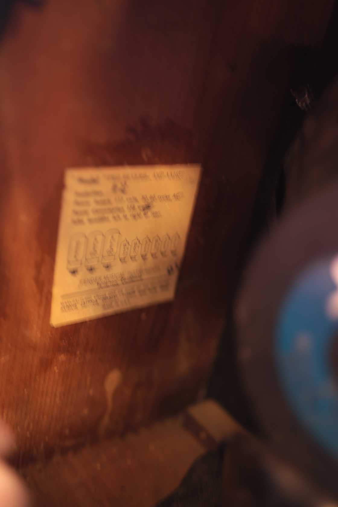Fender Blackface Pro Reverb (1965)