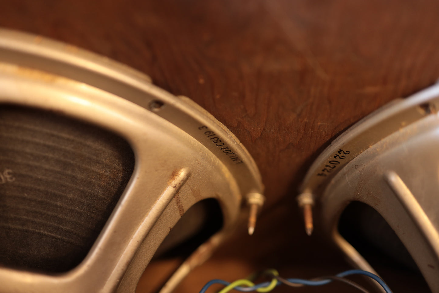 Ampeg B-12XT Portaflex (1967)