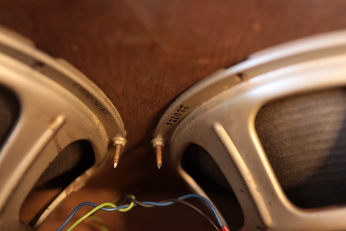 Ampeg B-12XT Portaflex (1967)